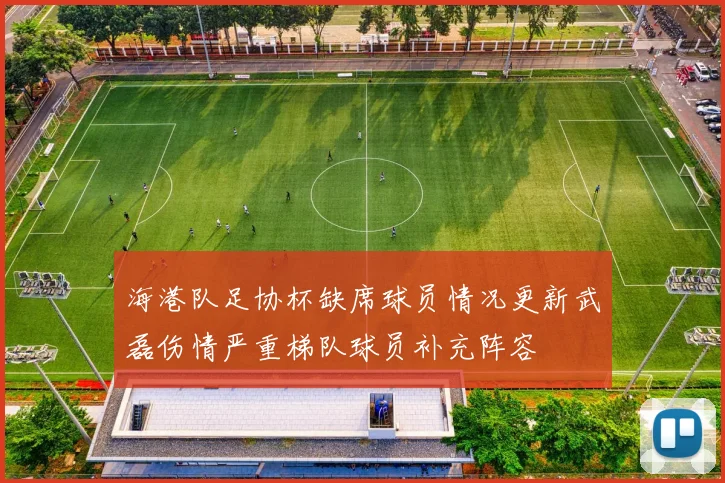 海港队足协杯缺席球员情况更新武磊伤情严重梯队球员补充阵容