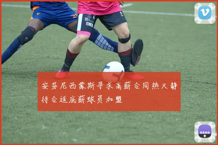 安芬尼西蒙斯寻求高薪合同热火静待合适底薪球员加盟
