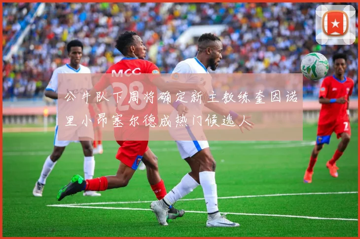 公牛队下周将确定新主教练奎因诺里小昂塞尔德成热门候选人