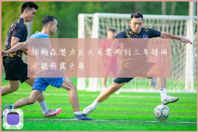 杨瀚森潜力巨大或需两到三年时间方能崭露头角